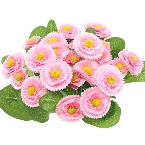 Floristik24 Bellis Bund Hellrosa 24cm 3St