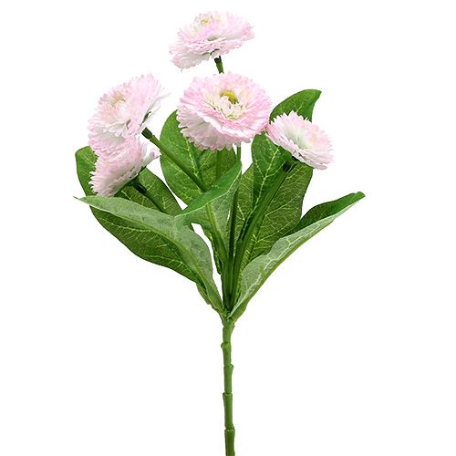 Floristik24 Bellispick Rosa  L 24cm