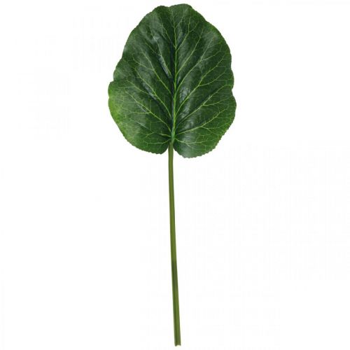 Artikel Künstliche Grünpflanze Bergenie Grün Kunstpflanze 53cm