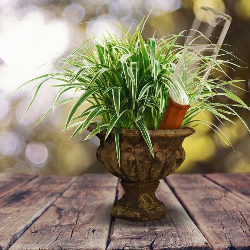 Terrakotta Bewässerungszapfen für Flaschen, 18 cm, Terrakottafarbe | Floristik24.at