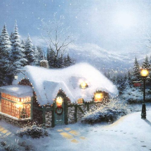 Floristik24 LED-Wandbild Winterlandschaft mit Haus 38×28cm Für Batterie