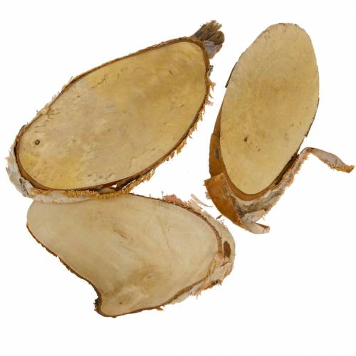 Floristik24 Holzscheiben Birke oval Natur 7,5×13cm 1kg