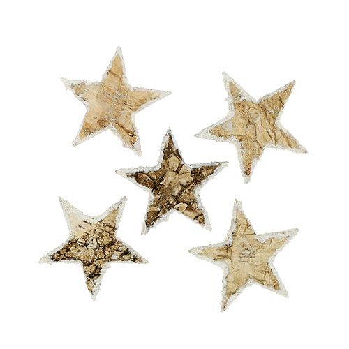Artikel Birkensterne beschneit 4cm Natur 60 St