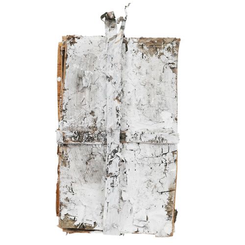 Floristik24 Rindenscheiben 20cm x 12cm Weiß, gewaschen 8 St