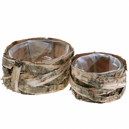 Pflanzgefäß rund Birke Topf Ø17/23cm 2St