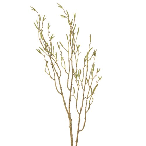 Floristik24 Dekozweig Birke künstlich elegantes Accessoire für Tisch und Raumgestaltung 100cm