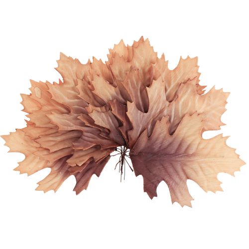 Floristik24 Roteichenblatt Herbstblätter Deko Blätter Deko 13×19cm 12St