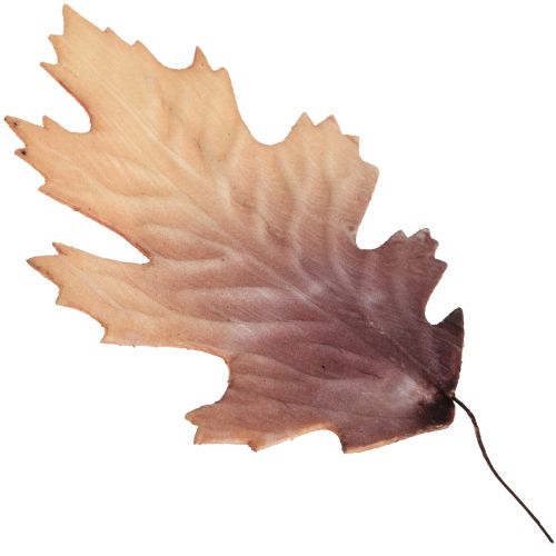 Floristik24 Roteichenblatt Herbstblätter Deko Blätter Deko 13×19cm 12St