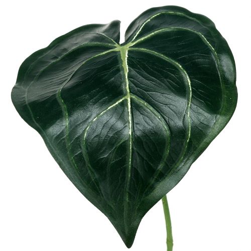 Floristik24 Blatt Caladium 32cm 2St