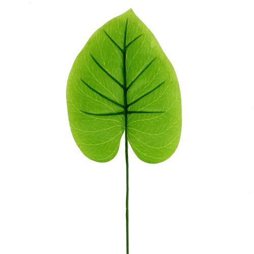 Floristik24 Deko Blatt Funkie, Hosta 40cm 5St