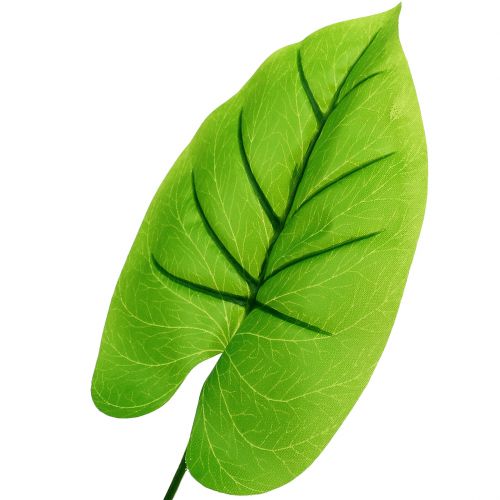 Floristik24 Deko Blatt Funkie, Hosta 40cm 5St
