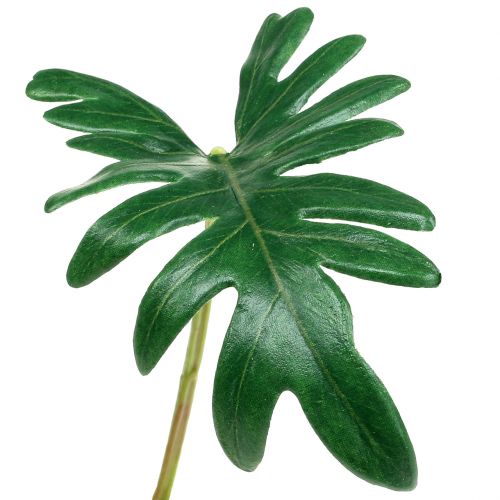 Floristik24 Blatt Philodendron 31cm Grün 12St