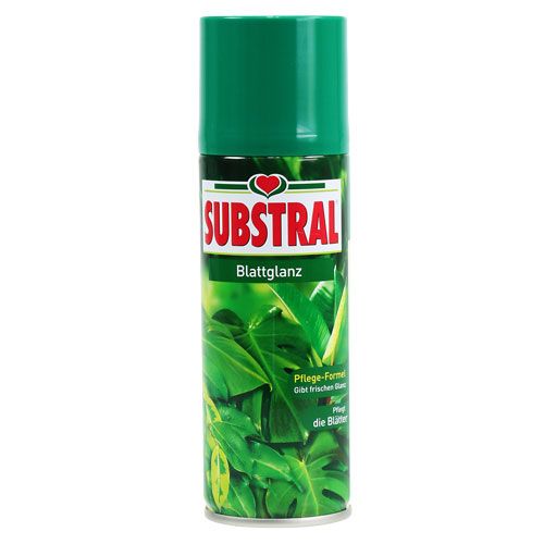 Floristik24 Blattglanz 200ml