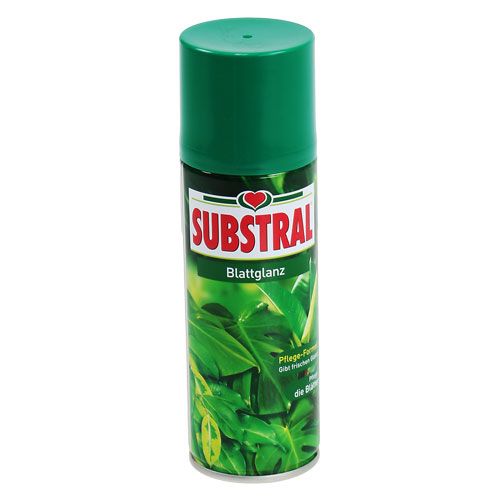 Floristik24 Blattglanz 200ml