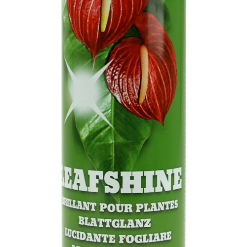 Floristik24 Blattglanz Spray 400ml
