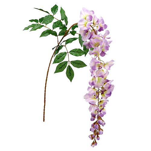 Floristik24 Blauregen Wisteria L104cm