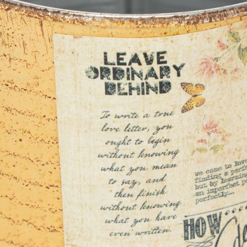 Artikel Blechdose Deko Dose Apricot Metall Pflanztopf Ø11cm H10,5cm