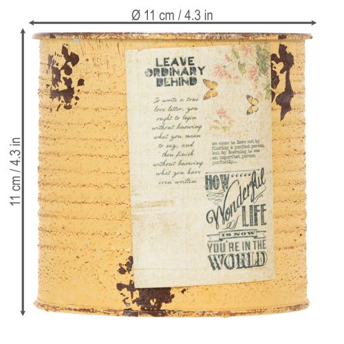 Artikel Blechdose Deko Dose Apricot Metall Pflanztopf Ø11cm H10,5cm