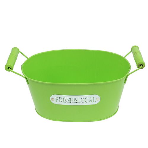 Floristik24 Blechschale oval Grün 22cm x 15cm H10cm