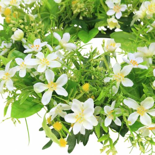 Floristik24 Kranz Anemone/Dill Grün, Weiß Ø30cm
