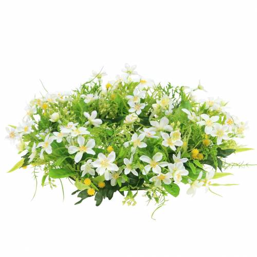 Floristik24 Kranz Anemone/Dill Grün, Weiß Ø30cm