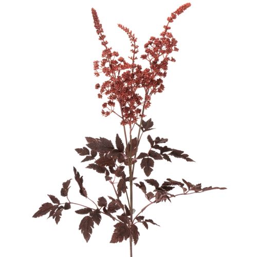 Künstliche Astilbe 80cm Rotbraun Kunststoff für Innenbereich bestellen | Floristik24.at
