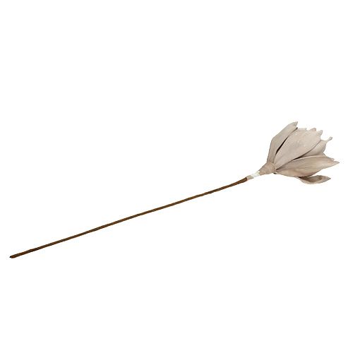 Floristik24 Blütenzweig Foam Grau 65cm