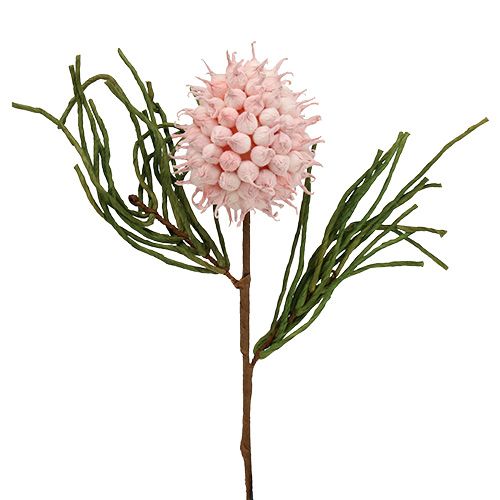 Floristik24 Blütenzweig Foam Pink/Grün 65cm