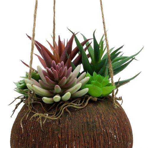 Floristik24 Blumenampel mit künstlichen Sukkulenten L65cm Ø16cm