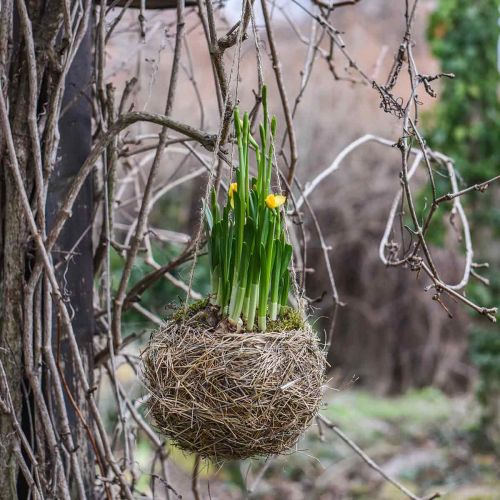 Blumenampel Heu Natur Pflanzkorb zum Hängen Hängetopf Ø20cm