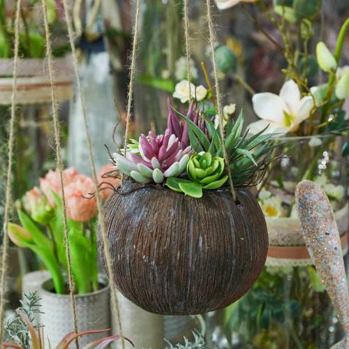 Floristik24 Blumenampel mit künstlichen Sukkulenten L65cm Ø16cm