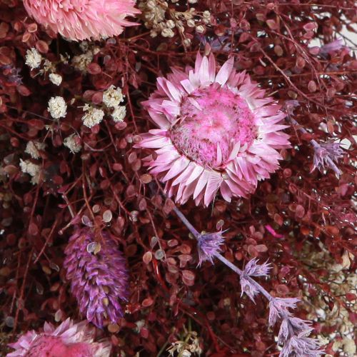 Floristik24 Blumenkranz Trockenblumen Kranz Weinrot Rosa Ø25cm