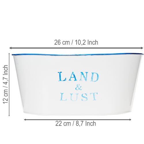 Artikel Blumenschale oval Pflanztopf Metall Weiß, Blau 26×17×12cm