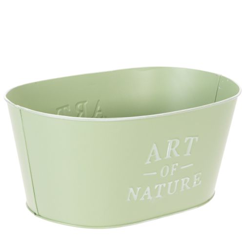 Blumenschale oval Zink Mintgrün 27x18cm H12,5cm | Floristik24.at