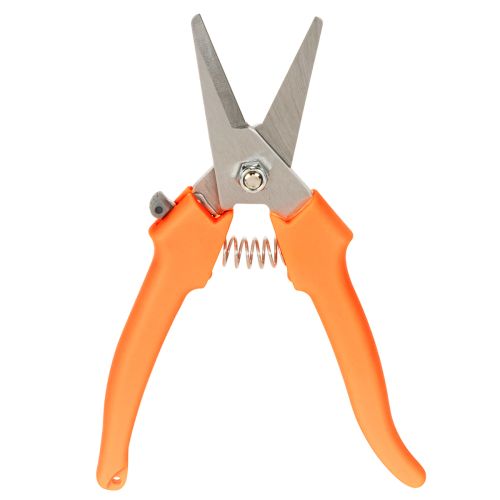 Blumenschere aus Edelstahl mit Kunststoffgriff, 19 cm, orange | Floristik24.at