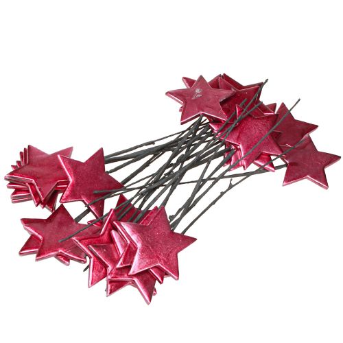 Artikel Blumenstecker Sterne Deko Berry Ø7cm – 2. Wahl – 24 St