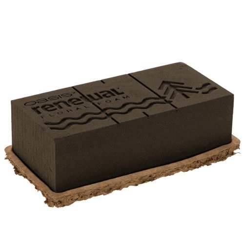 Blumensteckschaum OASIS® Renewal® Biolit® 1/1 Ziegel, braun, 24 × 13 × 8 cm, 2 Stück