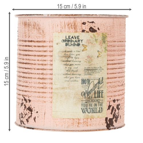 Artikel Blumentopf Deko Dose Lachs Metall Pflanzeimer Ø15,5cm H15cm