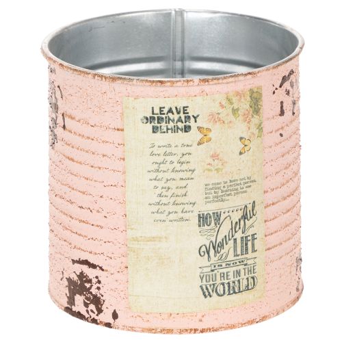 Floristik24 Blumentopf Deko Dose Lachs Metall Sommerdeko Ø11cm H10,5cm