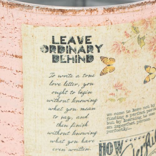 Artikel Blumentopf Deko Dose Lachs Metall Sommerdeko Ø11cm H10,5cm