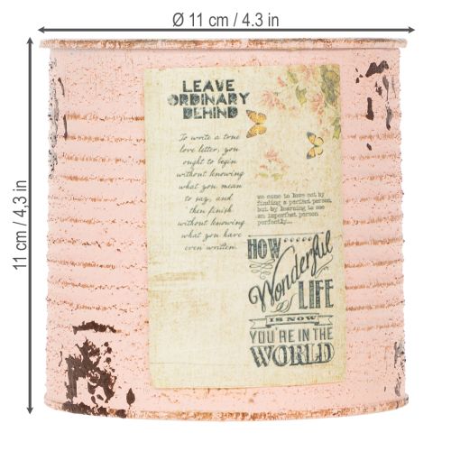 Artikel Blumentopf Deko Dose Lachs Metall Sommerdeko Ø11cm H10,5cm