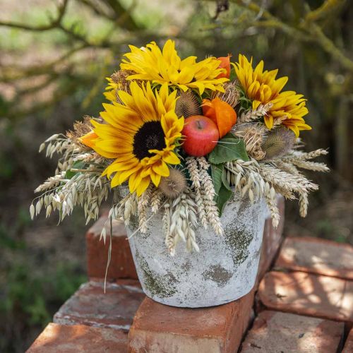 Floristik24 Blumentopf Antik Look Pflanzgefäß mit Patina Ø20,5cm H16cm