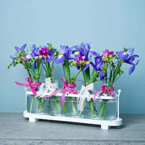 Floristik24 Blumenvase Apothekerflaschen Apothekerglas Deko auf Tablett 38cm