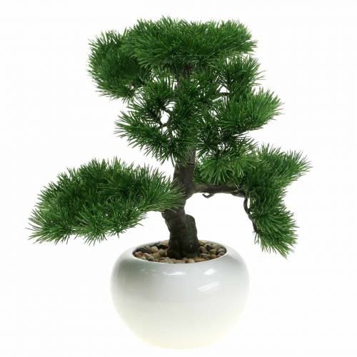 Floristik24 Bonsai Baum im Keramiktopf Mädchenkiefer Künstlich H36cm
