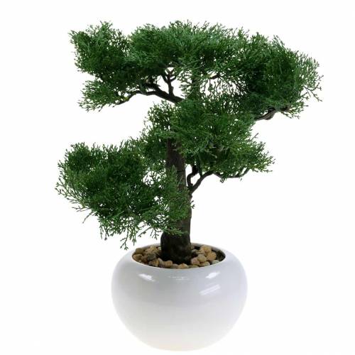 Floristik24 Bonsai Baum Kiefer Künstlich im Topf H36cm