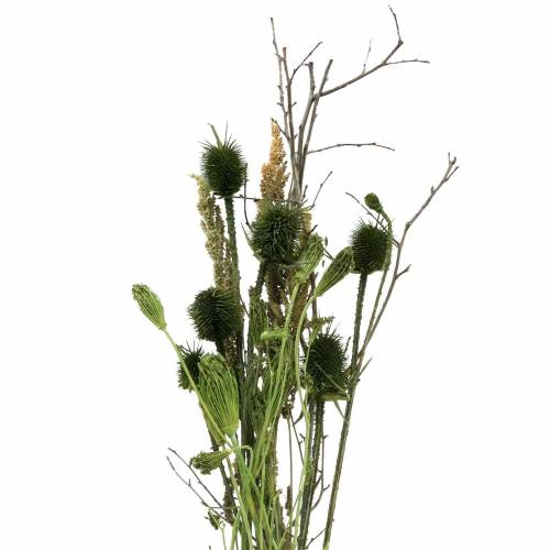 Floristik24 Wildblumen-Bouquet Natur, Grün 25–60cm 70g