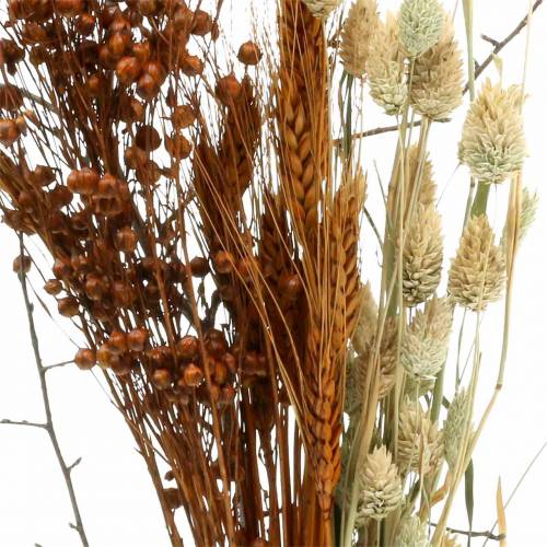 Artikel Wildblumen-Bouquet Natur, Orange 25–60cm 65g