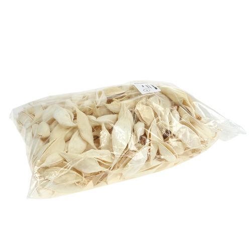 Artikel Brachyciton gebleicht 500g