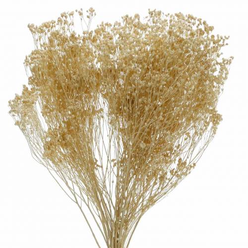 Artikel Trockenblumen Broom Bloom Gebleicht 140g