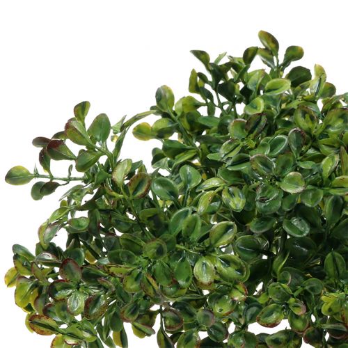 Floristik24 Buchsbaum Zweig Grün 27cm